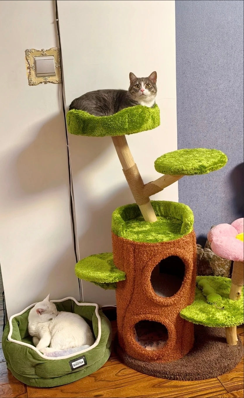 Zelda Katzen Kratzbaum TKXian