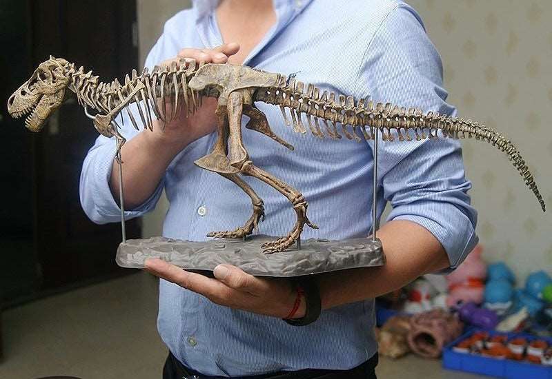 T-Rex XL Tyrannosaurus Rex Skelett 70cm Bauset mit Standfuß - TKXian
