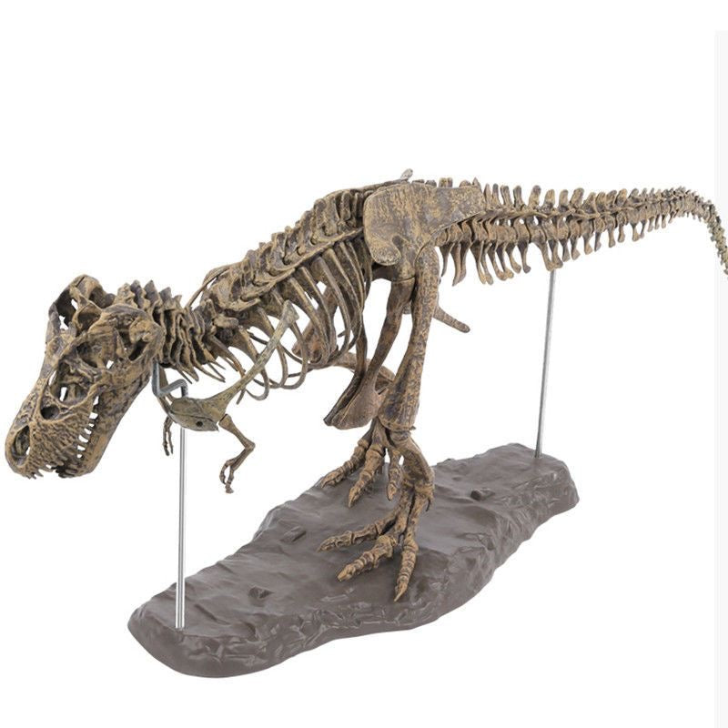 T-Rex XL Tyrannosaurus Rex Skelett 70cm Bauset mit Standfuß - TKXian