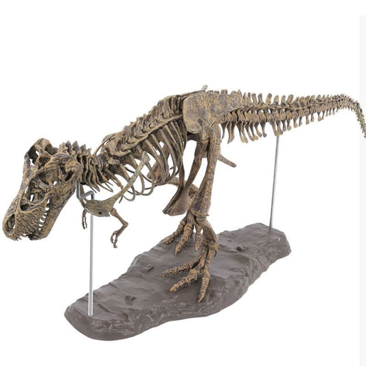 T-Rex XL Tyrannosaurus Rex Skelett 70cm Bauset mit Standfuß - TKXian